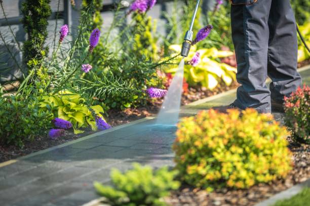 Best Animal Enclosure Cleaning  in Bangor, WI